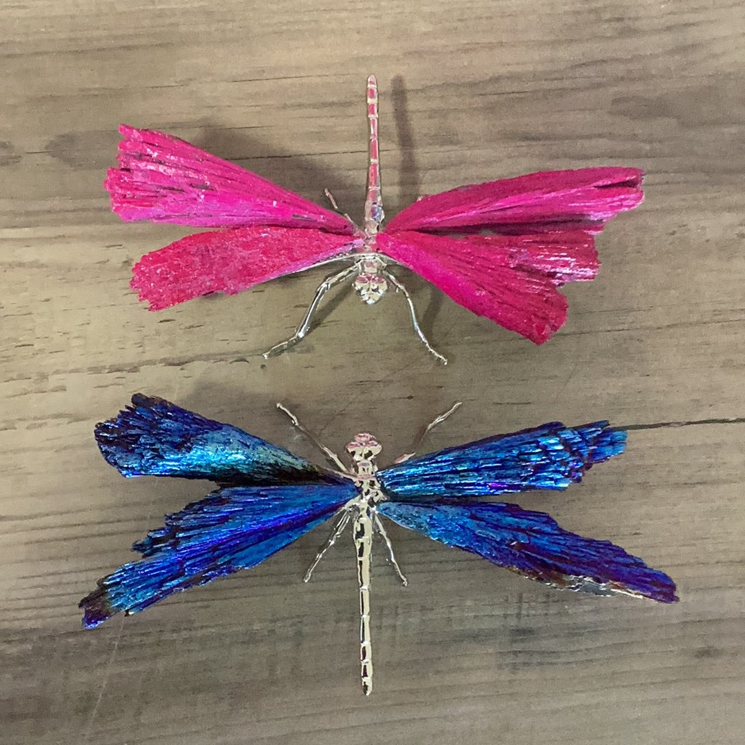 Aura Coated Black Kyanite Dragonflies